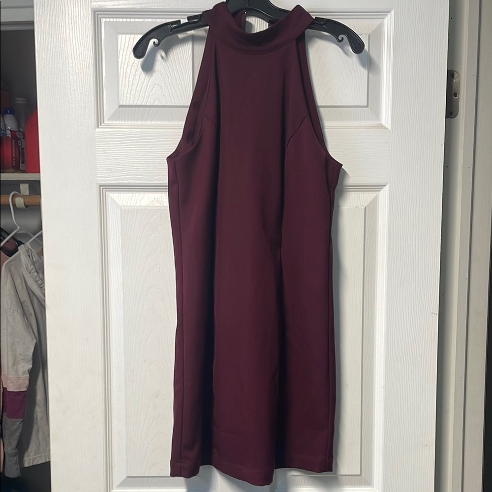 Elegant Burgundy Sleeveless Dress